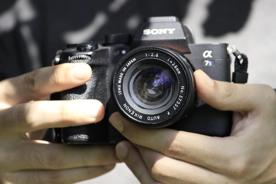 sony a80l manual