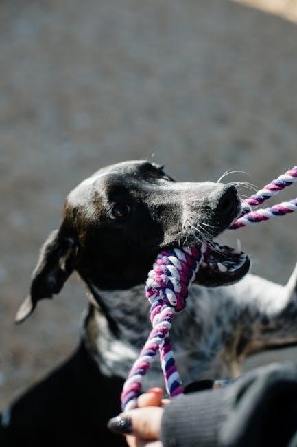 puppy potty training schedule pdf