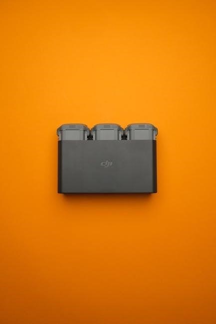 manual battery charger for electrolysis