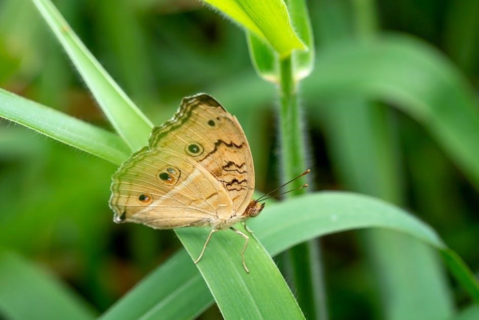 sevin lawn insect granules application instructions