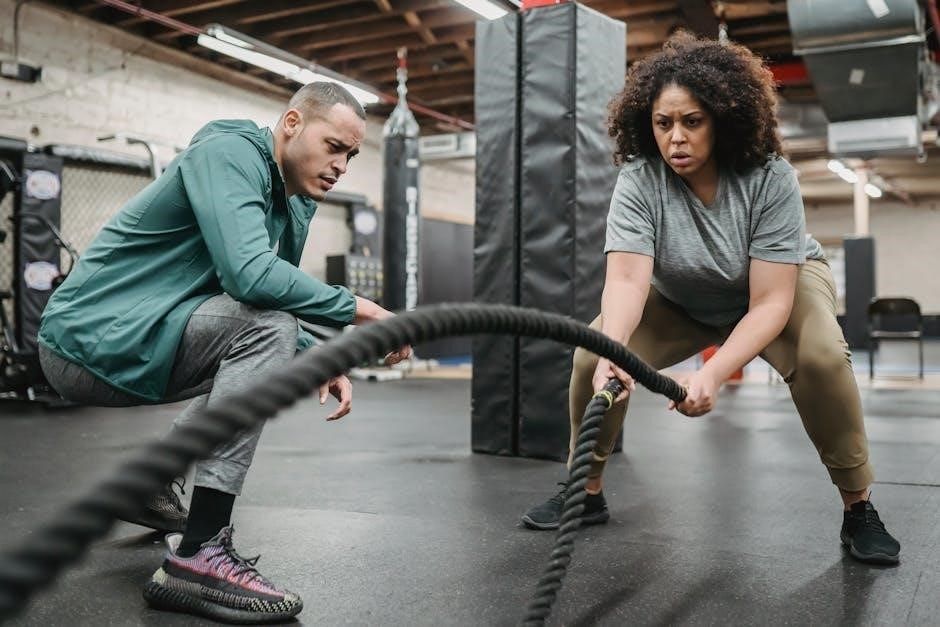 functional training exercises pdf